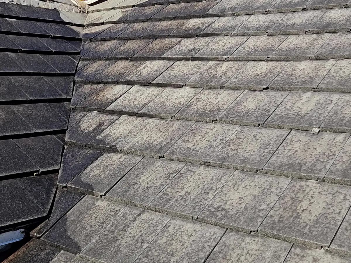 Surface cleaner on a concrete tile roof, the cleaned rows lighter than the rest